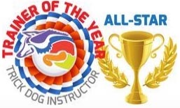 All Star Instructor