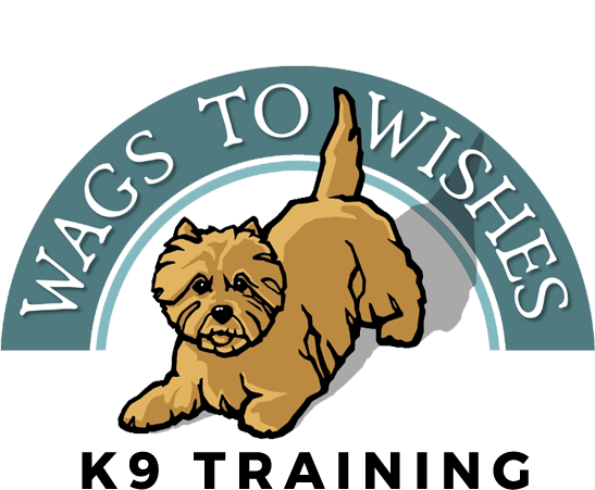 Wags to WIshes Dog K9 Training